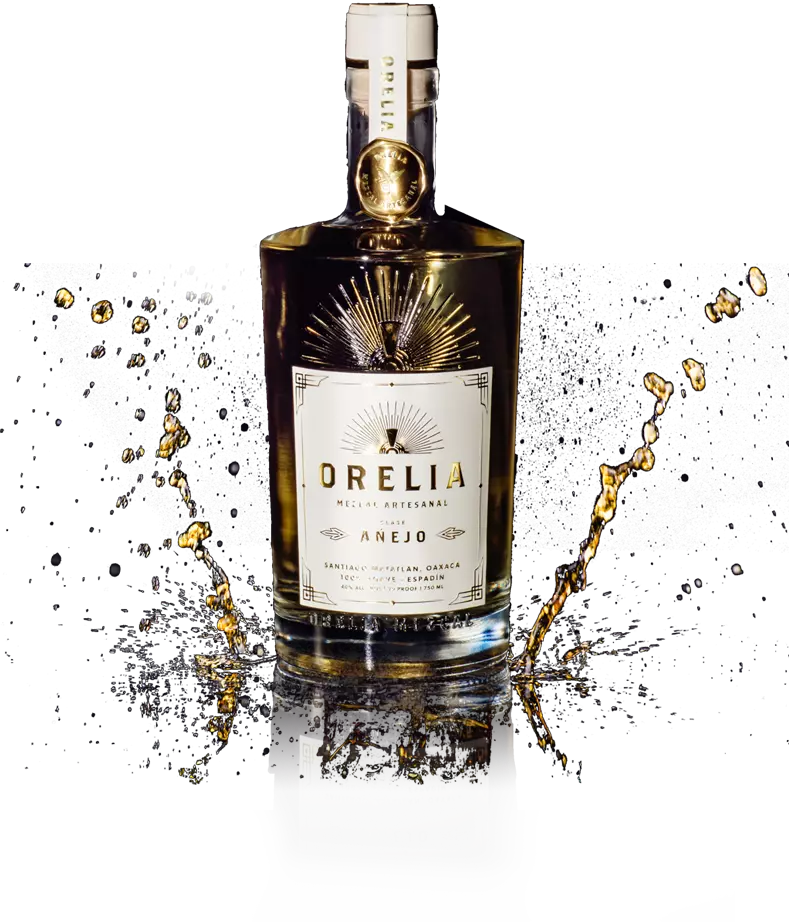 AnyConv.com__BOTELLA AÑEJO